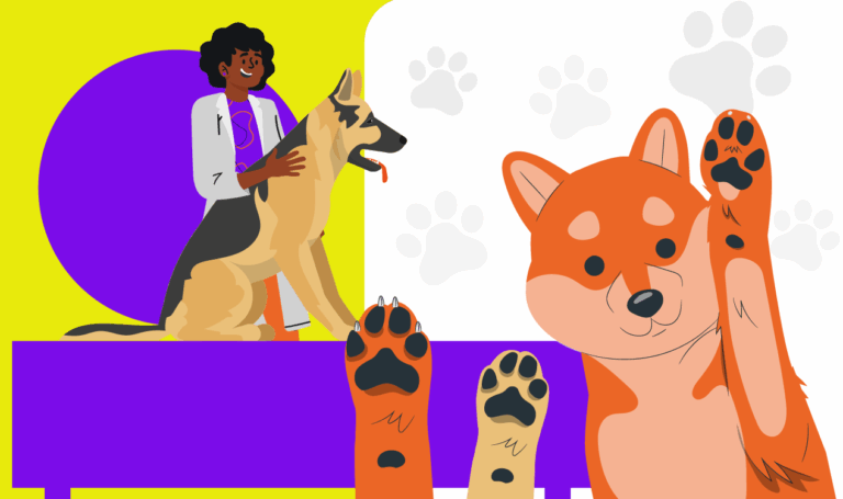 Odontologia veterinária: imagem ilustrativa de um veterinário cuidando de cachorros.