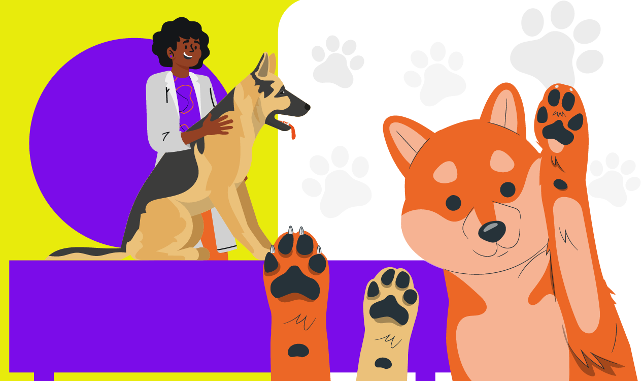 Odontologia veterinária: imagem ilustrativa de um veterinário cuidando de cachorros.